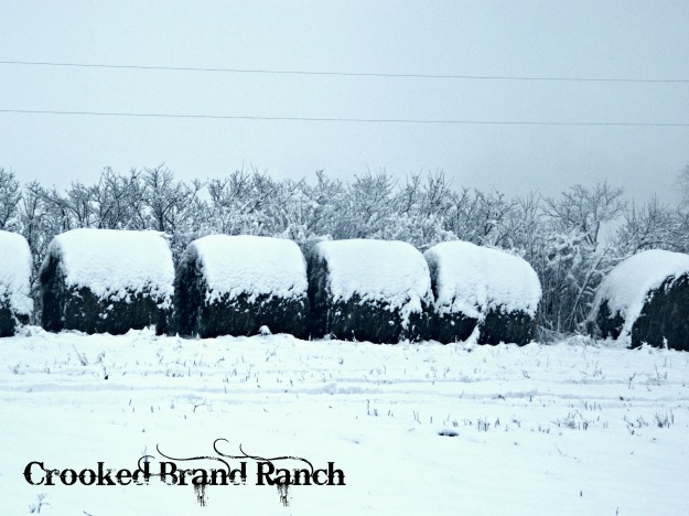 snow on hay