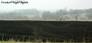 burnt field