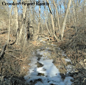 creek1